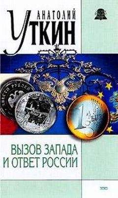 Читайте книги онлайн на Bookidrom.ru! Бесплатные книги в одном клике Анатолий Уткин - Вызов Запада и ответ России