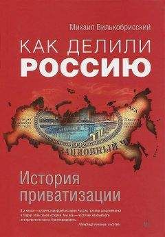 Читайте книги онлайн на Bookidrom.ru! Бесплатные книги в одном клике Михаил Вилькобрисский - Как делили Россию. История приватизации