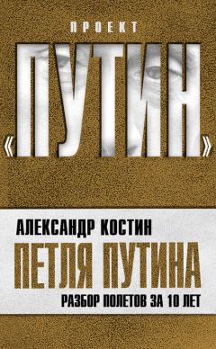 Читайте книги онлайн на Bookidrom.ru! Бесплатные книги в одном клике Александр Костин - Петля Путина. Разбор полетов за 10 лет