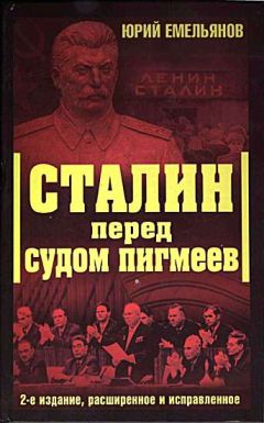 Читайте книги онлайн на Bookidrom.ru! Бесплатные книги в одном клике Юркй Емельянов - Сталин перед судом пигмеев