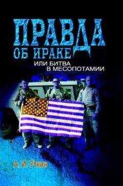 Читайте книги онлайн на Bookidrom.ru! Бесплатные книги в одном клике А. Уткин - Правда об Ираке или Битва в Месопотамии