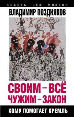 Читайте книги онлайн на Bookidrom.ru! Бесплатные книги в одном клике Владимир Поздняков - Своим – все, чужим – закон. Кому помогает Кремль