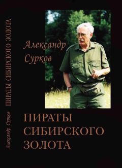 Читайте книги онлайн на Bookidrom.ru! Бесплатные книги в одном клике Александр Сурков - Пираты сибирского золота