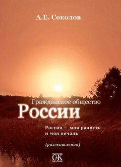 Читайте книги онлайн на Bookidrom.ru! Бесплатные книги в одном клике Алексей Соколов - Гражданское общество России. Россия – моя радость и моя печаль (размышления)