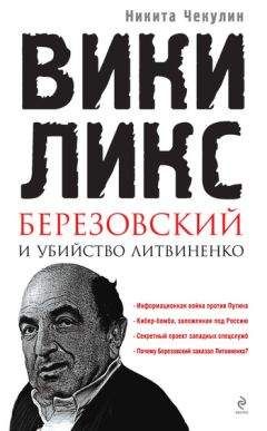 Читайте книги онлайн на Bookidrom.ru! Бесплатные книги в одном клике Никита Чекулин - «ВикиЛикс», Березовский и убийство Литвиненко. Документальное расследование