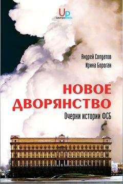 Читайте книги онлайн на Bookidrom.ru! Бесплатные книги в одном клике Ирина Бороган - Новое дворянство: Очерки истории ФСБ