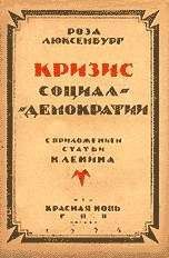 Читайте книги онлайн на Bookidrom.ru! Бесплатные книги в одном клике Роза Люксембург - Кризис социал-демократии