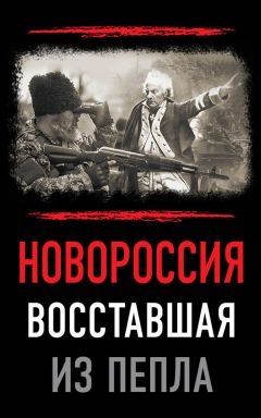 Читайте книги онлайн на Bookidrom.ru! Бесплатные книги в одном клике Авторский коллектив - Новороссия. Восставшая из пепла