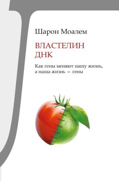 Читайте книги онлайн на Bookidrom.ru! Бесплатные книги в одном клике Шарон Моалем - Властелин ДНК. Как гены меняют нашу жизнь, а наша жизнь – гены