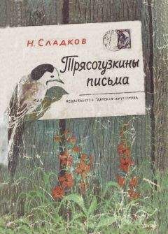 Читайте книги онлайн на Bookidrom.ru! Бесплатные книги в одном клике Николай Сладков - Трясогузкины письма