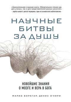 Читайте книги онлайн на Bookidrom.ru! Бесплатные книги в одном клике Марио Борегар - Научные битвы за душу. Новейшие знания о мозге и вера в Бога