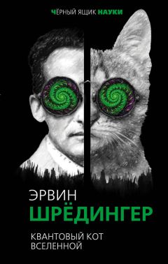 Читайте книги онлайн на Bookidrom.ru! Бесплатные книги в одном клике Эрвин Шредингер - Квантовый кот вселенной