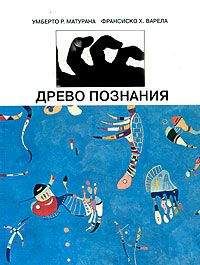 Читайте книги онлайн на Bookidrom.ru! Бесплатные книги в одном клике Умберто Матурана - Древо познания