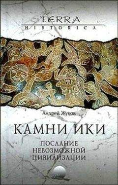 Читайте книги онлайн на Bookidrom.ru! Бесплатные книги в одном клике Андрей Жуков - Камни Ики – послание невозможной цивилизации