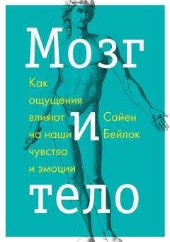 Читайте книги онлайн на Bookidrom.ru! Бесплатные книги в одном клике Сайен Бейлок - Мозг и тело. Как ощущения влияют на наши чувства и эмоции