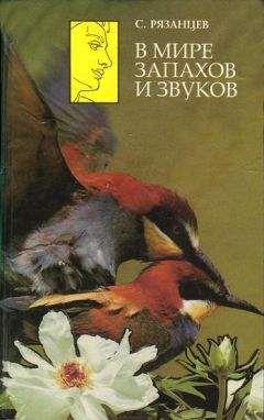 Читайте книги онлайн на Bookidrom.ru! Бесплатные книги в одном клике Сергей Рязанцев - В мире запахов и звуков