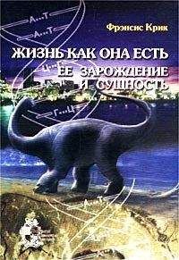 Читайте книги онлайн на Bookidrom.ru! Бесплатные книги в одном клике Фрэнсис Крик - Жизнь как она есть: её зарождение и сущность