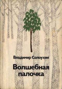 Читайте книги онлайн на Bookidrom.ru! Бесплатные книги в одном клике Владимир Солоухин - Волшебная палочка