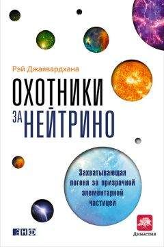Читайте книги онлайн на Bookidrom.ru! Бесплатные книги в одном клике Рэй Джаявардхана - Охотники за нейтрино. Захватывающая погоня за призрачной элементарной частицей