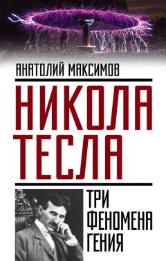 Читайте книги онлайн на Bookidrom.ru! Бесплатные книги в одном клике Анатолий Максимов - Никола Тесла. Три феномена гения