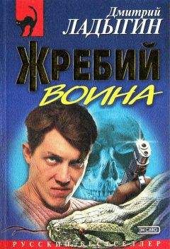 Читайте книги онлайн на Bookidrom.ru! Бесплатные книги в одном клике Дмитрий Ладыгин - Жребий воина