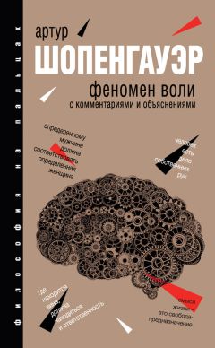 Читайте книги онлайн на Bookidrom.ru! Бесплатные книги в одном клике Артур Шопенгауэр - Феномен воли. С комментариями и объяснениями