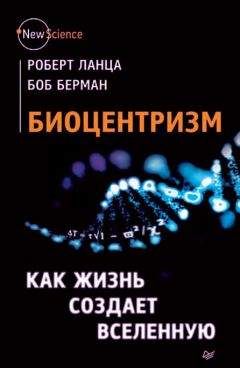 Читайте книги онлайн на Bookidrom.ru! Бесплатные книги в одном клике Боб Берман - Биоцентризм. Как жизнь создает Вселенную