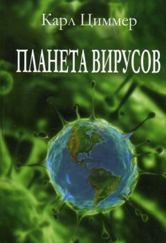 Читайте книги онлайн на Bookidrom.ru! Бесплатные книги в одном клике Карл Циммер - Планета вирусов