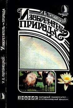 Читайте книги онлайн на Bookidrom.ru! Бесплатные книги в одном клике Изот Литинецкий - Изобретатель - природа