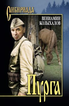 Читайте книги онлайн на Bookidrom.ru! Бесплатные книги в одном клике Вениамин Колыхалов - Пурга