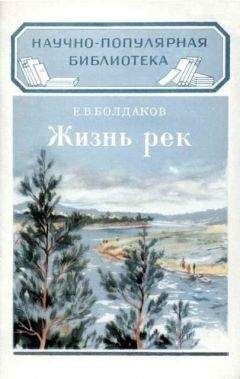Читайте книги онлайн на Bookidrom.ru! Бесплатные книги в одном клике Е. Болдаков - Жизнь рек