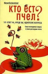 Читайте книги онлайн на Bookidrom.ru! Бесплатные книги в одном клике Мик О'Хара - Кто ест пчел? 101 ответ на, вроде бы, идиотские вопросы