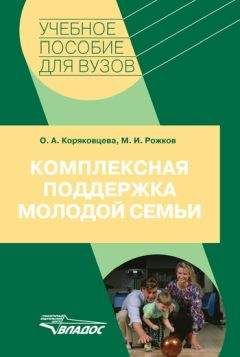 Михаил Рожков - Комплексная поддержка молодой семьи: учебное пособие