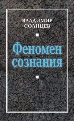 Читайте книги онлайн на Bookidrom.ru! Бесплатные книги в одном клике Владимир Солнцев - Феномен сознания