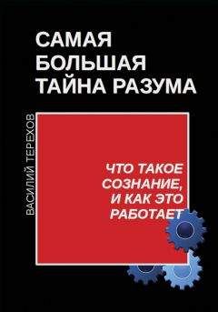 Читайте книги онлайн на Bookidrom.ru! Бесплатные книги в одном клике Василий Терехов - Самая большая тайна разума. Что такое сознание, и как это работает