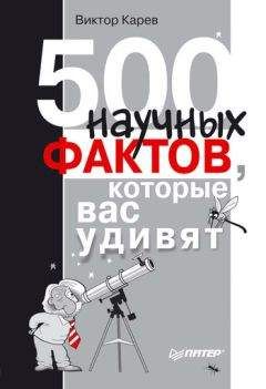 Читайте книги онлайн на Bookidrom.ru! Бесплатные книги в одном клике Виктор Карев - 500 научных фактов, которые вас удивят