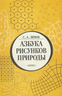 Читайте книги онлайн на Bookidrom.ru! Бесплатные книги в одном клике Сергей Зимов - Азбука рисунков природы