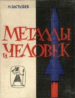 Читайте книги онлайн на Bookidrom.ru! Бесплатные книги в одном клике Михаил Васильев - Металлы и человек