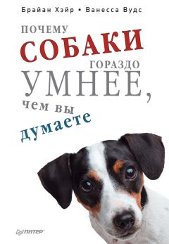 Читайте книги онлайн на Bookidrom.ru! Бесплатные книги в одном клике Ванесса Вудс - Почему собаки гораздо умнее, чем вы думаете