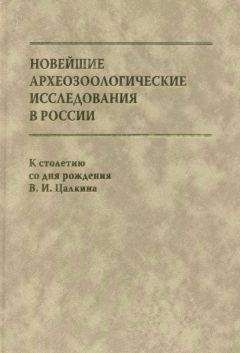 Читайте книги онлайн на Bookidrom.ru! Бесплатные книги в одном клике Е. Антипина - Новейшие археозоологические исследования в России: К столетию со дня рождения В.И. Цалкина