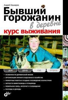 Читайте книги онлайн на Bookidrom.ru! Бесплатные книги в одном клике А. Кашкаров - Бывший горожанин в деревне. Курс выживания