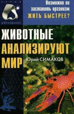 Читайте книги онлайн на Bookidrom.ru! Бесплатные книги в одном клике Юрий Симаков - Животные анализируют мир