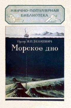 Всеволод Зенкович - Морское дно