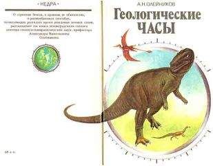 Читайте книги онлайн на Bookidrom.ru! Бесплатные книги в одном клике Александр Олейников - Геологические часы