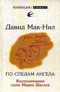 Читайте книги онлайн на Bookidrom.ru! Бесплатные книги в одном клике Дэвид Макнил - По следам ангела