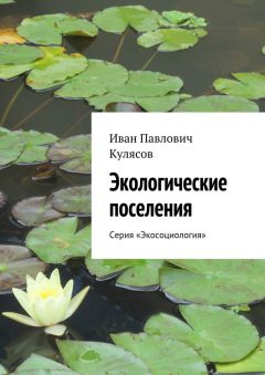 Читайте книги онлайн на Bookidrom.ru! Бесплатные книги в одном клике Иван Кулясов - Экологические поселения. Серия «Экосоциология»