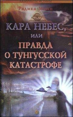 Читайте книги онлайн на Bookidrom.ru! Бесплатные книги в одном клике Радика Манн - Кара небес, или Правда о Тунгусской катастрофе