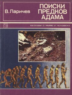 Читайте книги онлайн на Bookidrom.ru! Бесплатные книги в одном клике Владимир Ларичев - Поиски предков Адама