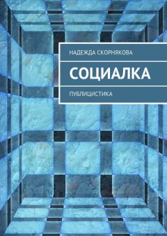 Читайте книги онлайн на Bookidrom.ru! Бесплатные книги в одном клике Надежда Скорнякова - Социалка. Публицистика