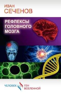 Читайте книги онлайн на Bookidrom.ru! Бесплатные книги в одном клике Иван Сеченов - Рефлексы головного мозга